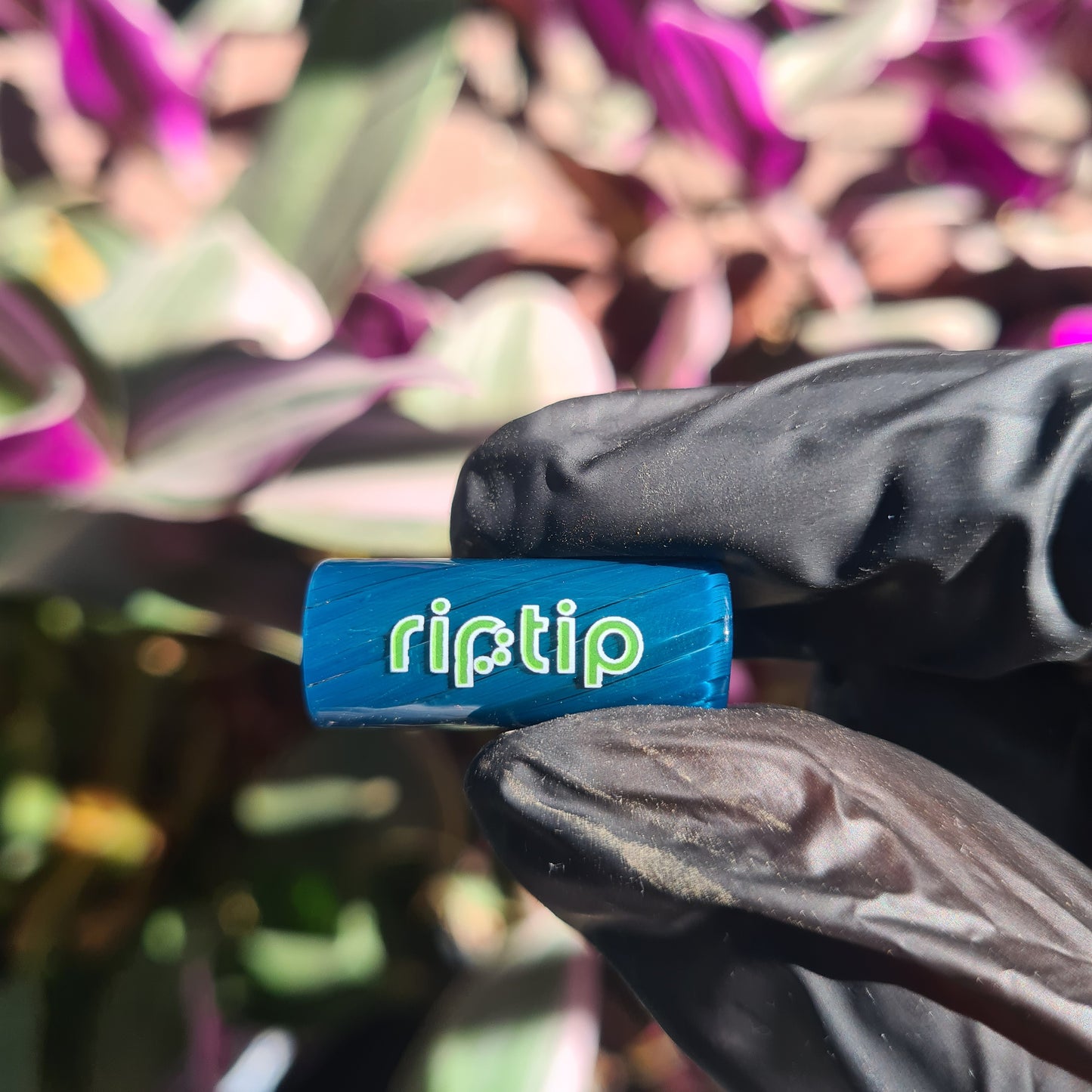 Twilight Rip Tip
