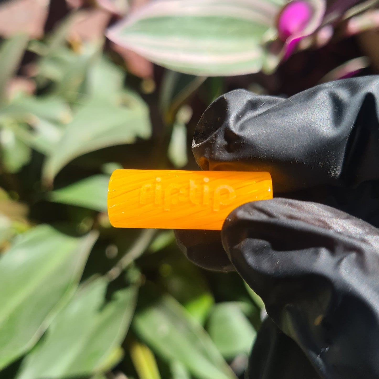 Rasta Gold Rip Tip